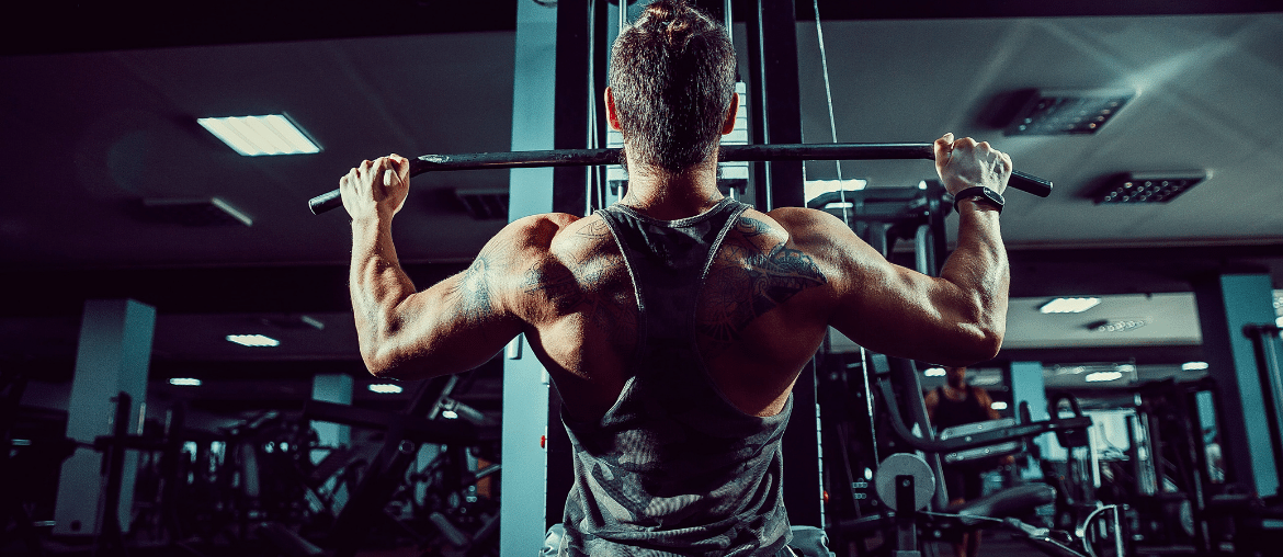 Back Workout Exercise Alpha Coach